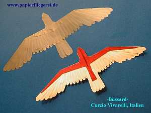 Papierflieger-Bussard