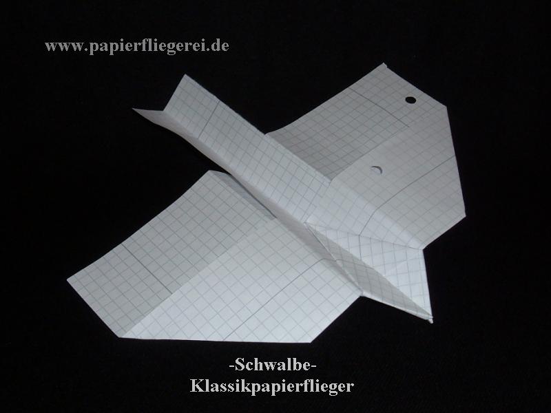 Papierflieger-Schwalbe